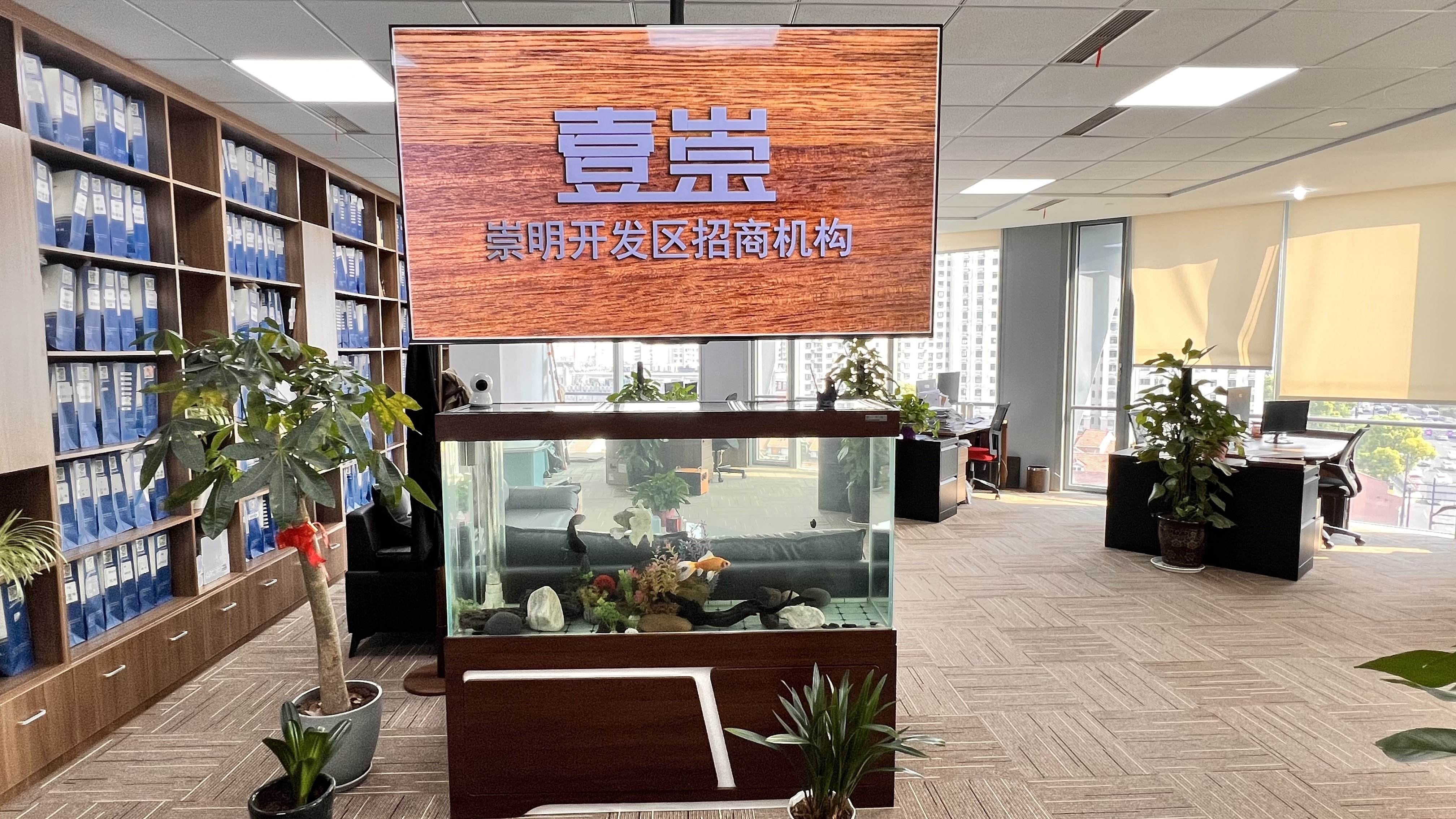 扶持政策