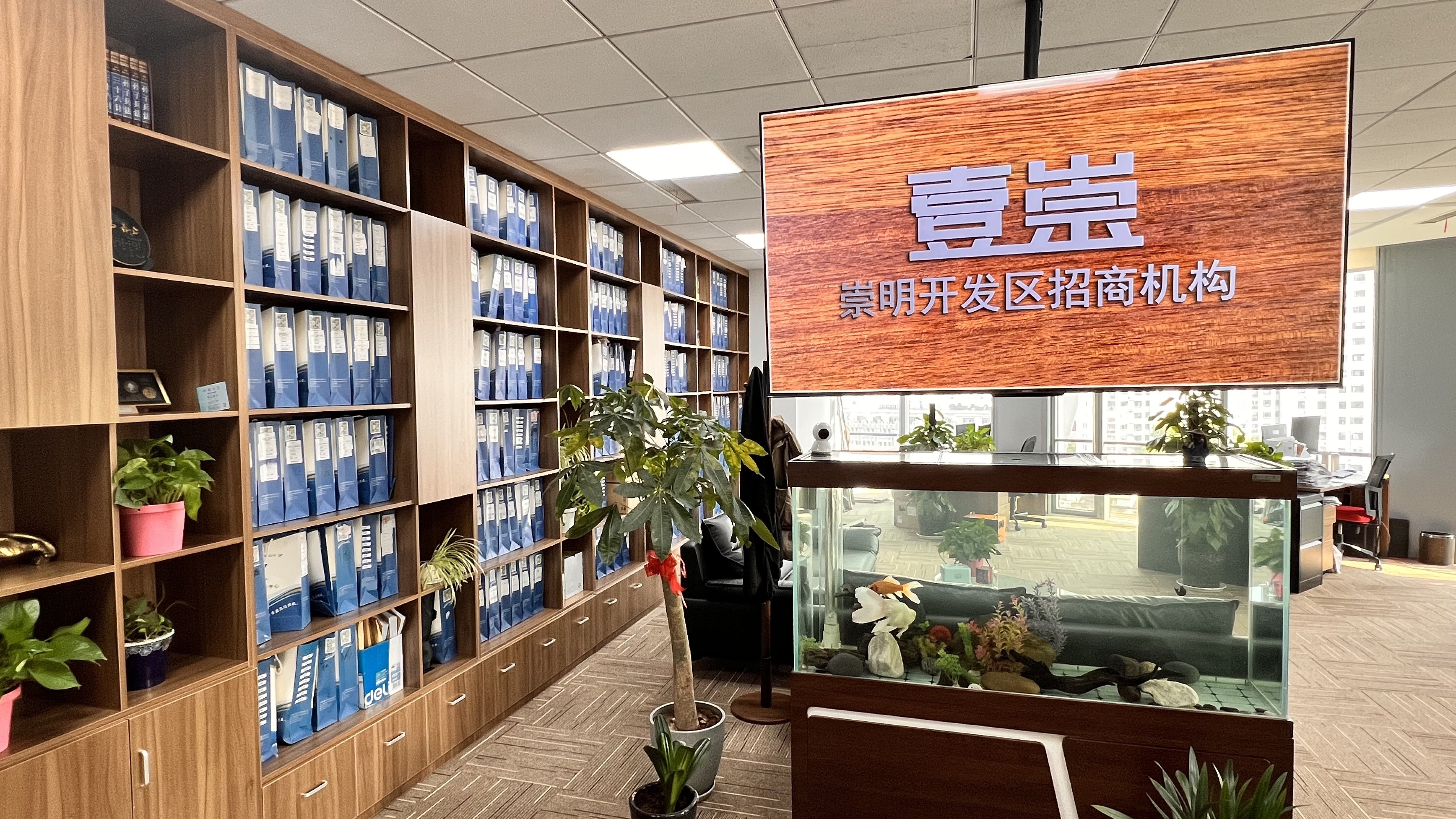 崇明开发区